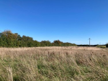 Terrain a batir a vendre Les Bordes-Aumont 10800 Aube 8800 m2  53500 euros