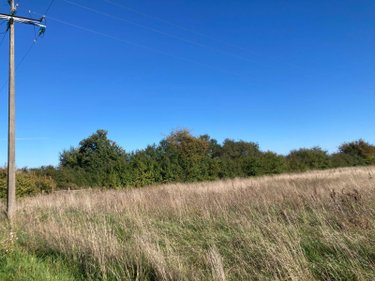 Terrain a batir a vendre Les Bordes-Aumont 10800 Aube 8800 m2  53500 euros