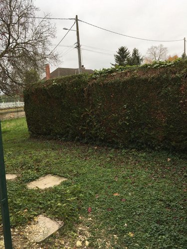 Location maison Les Rivières-Henruel 51300 Marne 62 m2 3 pièces 450 euros