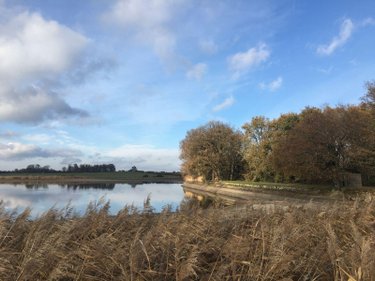 Terrains de loisirs bois etangs a vendre Lingé 36220 Indre 414345 m2  660000 euros