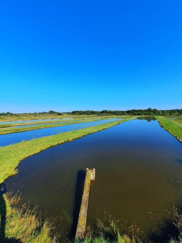 Terrains de loisirs bois etangs a vendre Lingé 36220 Indre 414345 m2  660000 euros