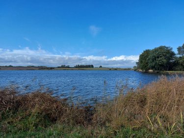 Terrains de loisirs bois etangs a vendre Lingé 36220 Indre 414345 m2  660000 euros