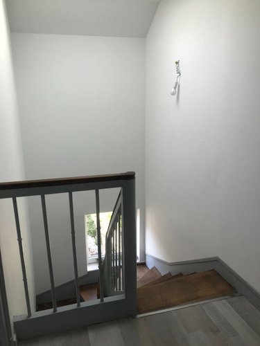 Location maison Le Mans 72000 Sarthe 76 m2 4 pièces 819 euros