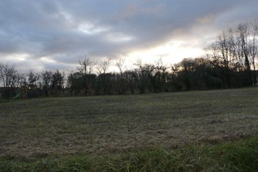 Terrain a batir a vendre Francueil 37150 Indre-et-Loire 844 m2  58300 euros