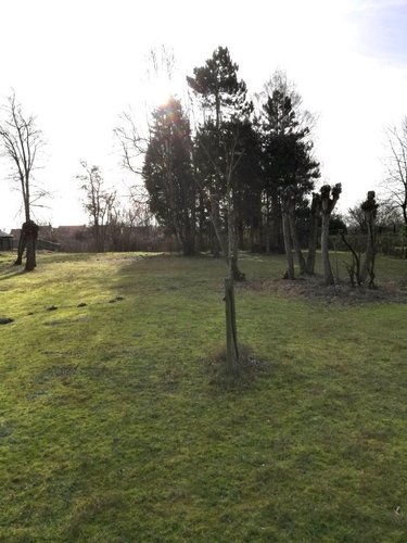 Terrain a batir a vendre Ghyvelde 59254 Nord 2000 m2  188250 euros