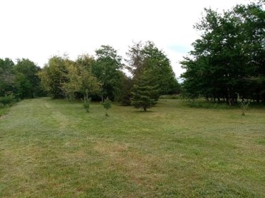Terrains de loisirs bois etangs a vendre Mauvières 36370 Indre 61878 m2  286200 euros
