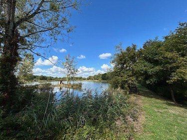 Terrains de loisirs bois etangs a vendre Mauvières 36370 Indre 61878 m2  286200 euros