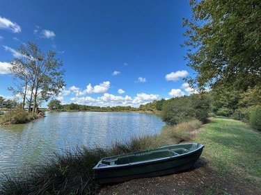 Terrains de loisirs bois etangs a vendre Mauvières 36370 Indre 61878 m2  286200 euros