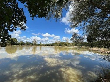 Terrains de loisirs bois etangs a vendre Mauvières 36370 Indre 61878 m2  286200 euros