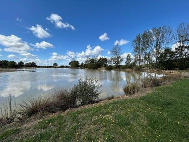 Terrains de loisirs bois etangs a vendre Mauvières 36370 Indre 61878 m2  286200 euros