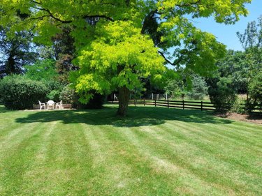 Maison a vendre Goven 35580 Ille-et-Vilaine 210 m2 7 pièces 485510 euros