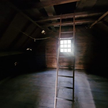 Terrains de loisirs bois etangs a vendre Rives-d'Andaine 61140 Orne 48797 m2  156000 euros