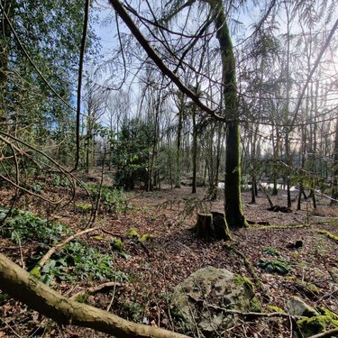 Terrains de loisirs bois etangs a vendre Rives-d'Andaine 61140 Orne 48797 m2  155250 euros