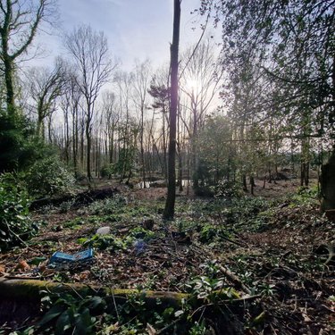 Terrains de loisirs bois etangs a vendre Rives-d'Andaine 61140 Orne 48797 m2  156000 euros