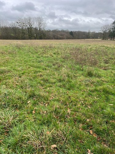 Bien agricole a vendre Saint-Étienne-en-Coglès 35460 Ille-et-Vilaine  114433 euros