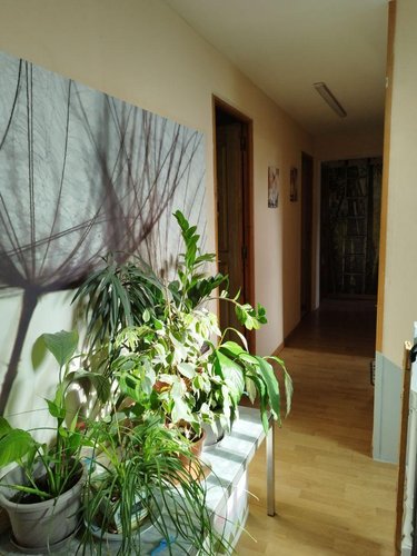 Maison a vendre Saint-Georges-de-Rouelley 50720 Manche 147 m2 8 pièces 197500 euros