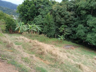 Maison a vendre Le Morne-Vert 97226 Martinique 155 m2 6 pièces 220000 euros