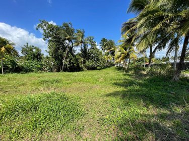 Terrain a batir a vendre Sainte-Rose 97115 Guadeloupe 1659 m2  129600 euros