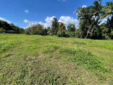 Terrain a batir a vendre Sainte-Rose 97115 Guadeloupe 1659 m2  129600 euros