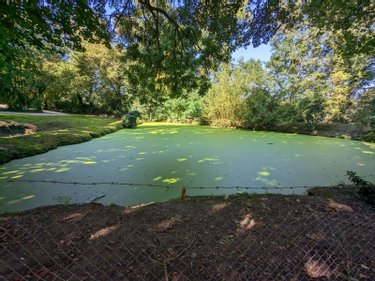 propriete a vendre La Loupe 28240 Eure-et-Loir 147 m2 4 pièces 651000 euros