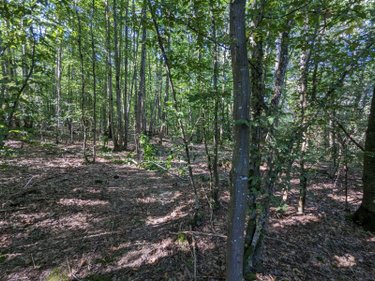propriete a vendre La Loupe 28240 Eure-et-Loir 147 m2 4 pièces 651000 euros