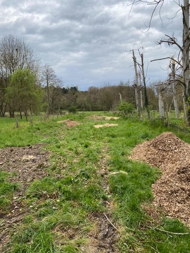 Terrains de loisirs bois etangs a vendre Bossay-sur-Claise 37290 Indre-et-Loire 667 m2  5000 euros