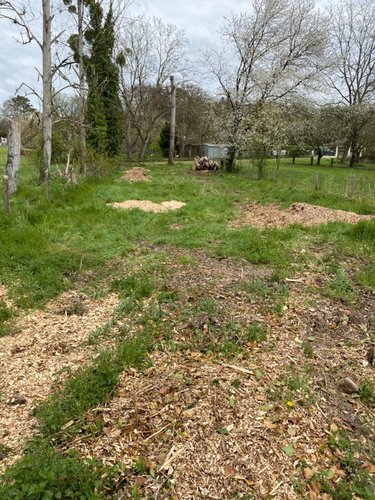 Terrains de loisirs bois etangs a vendre Bossay-sur-Claise 37290 Indre-et-Loire 667 m2  5000 euros