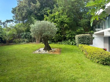 Maison a vendre Lège-Cap-Ferret 33950 Gironde 300 m2 8 pièces 3975000 euros