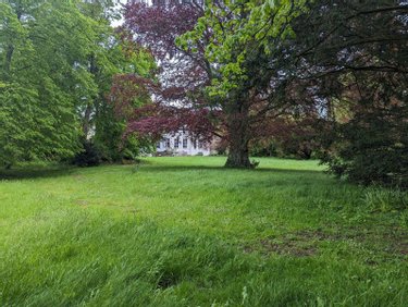 propriete a vendre Bergues 59380 Nord 1362 m2 20 pièces 927000 euros