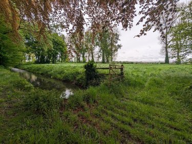 propriete a vendre Bergues 59380 Nord 1362 m2 20 pièces 927000 euros