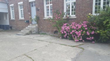 propriete a vendre Bergues 59380 Nord 1362 m2 20 pièces 927000 euros