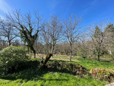 Maison a vendre Sousceyrac-en-Quercy 46190 Lot 80 m2 4 pièces 95400 euros