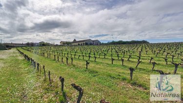 Maison a vendre Camiac-et-Saint-Denis 33420 Gironde 380 m2 20 pièces 545000 euros