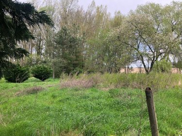 Maison a vendre Saint-Baudel 18160 Cher 64 m2 2 pièces 18000 euros