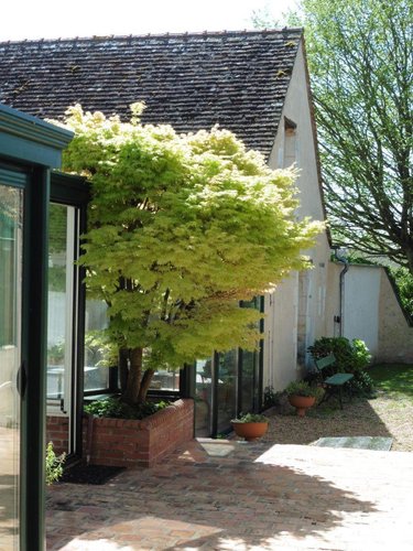 Maison a vendre Lasse 49490 Maine-et-Loire 277 m2 14 pièces 198550 euros