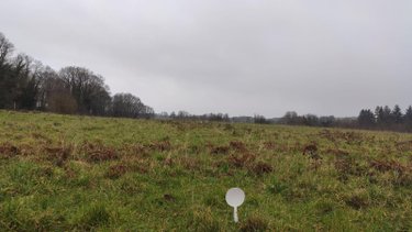 Terrain a batir a vendre Baud 56150 Morbihan 798 m2  79883 euros