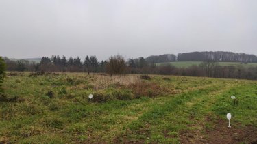 Terrain a batir a vendre Baud 56150 Morbihan 798 m2  79883 euros