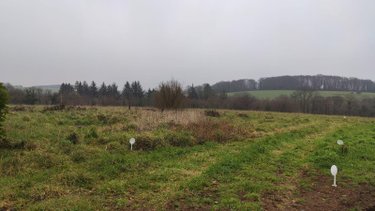 Terrain a batir a vendre Baud 56150 Morbihan 1325 m2  99650 euros