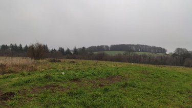 Terrain a batir a vendre Baud 56150 Morbihan 1325 m2  99650 euros