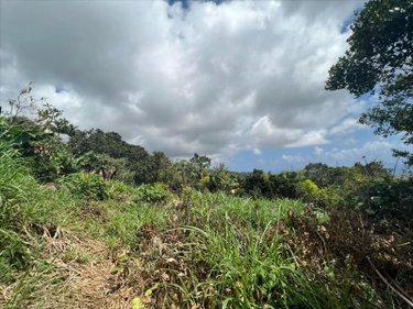 Terrain a batir a vendre Sainte-Clotilde 97490 Réunion 1940 m2  366500 euros