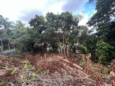 Terrain a batir a vendre Sainte-Clotilde 97490 Réunion 1940 m2  366500 euros