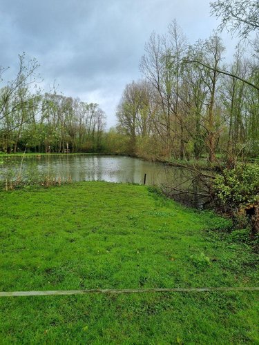 Terrains de loisirs bois etangs a vendre Éperlecques 62910 Pas-de-Calais 16608 m2  126000 euros