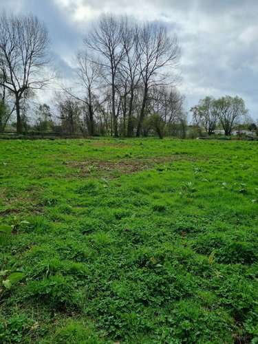 Terrains de loisirs bois etangs a vendre Éperlecques 62910 Pas-de-Calais 16608 m2  126000 euros