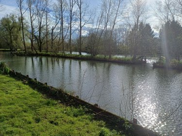 Terrains de loisirs bois etangs a vendre Éperlecques 62910 Pas-de-Calais 16608 m2  126000 euros