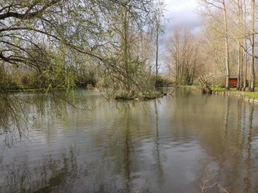 Terrains de loisirs bois etangs a vendre Éperlecques 62910 Pas-de-Calais 16608 m2  126000 euros