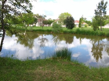 Maison a vendre Chémery 41700 Loir-et-Cher 206 m2 6 pièces 430600 euros