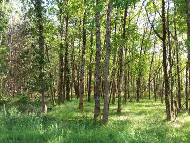 Maison a vendre Chémery 41700 Loir-et-Cher 206 m2 6 pièces 430600 euros