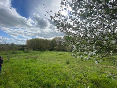 Terrains de loisirs bois etangs a vendre Saint-Jean-de-la-Motte 72510 Sarthe 18127 m2  74200 euros