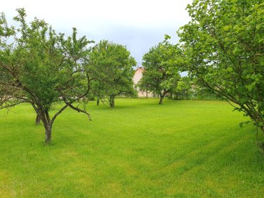 Terrains de loisirs bois etangs a vendre Saint-Jean-devant-Possesse 51330 Marne 1296 m2  6500 euros