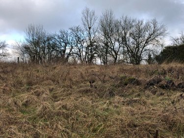 Terrain a batir a vendre Silmont 55000 Meuse 840 m2  15000 euros